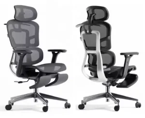 ergonomic office chair with lumbar support